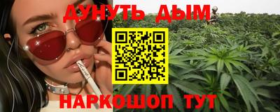 стаф Камышлов