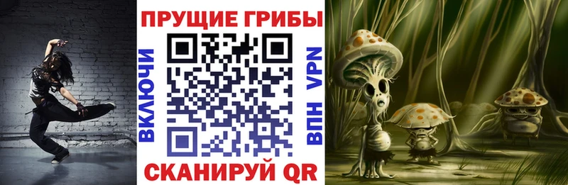 Псилоцибиновые грибы прущие грибы  Можайск 