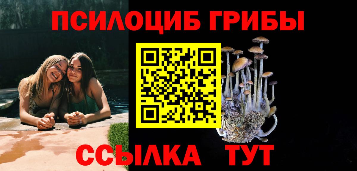 Псилоцибиновые грибы Psilocybe  Галлюциногенные грибы Psilocybine cubensis  Можайск  Вход с VPN 